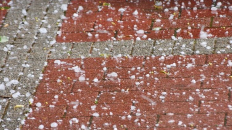 Снимка: архив, БулФото