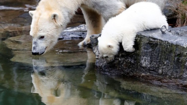 Снимка: архив, Ройтерс