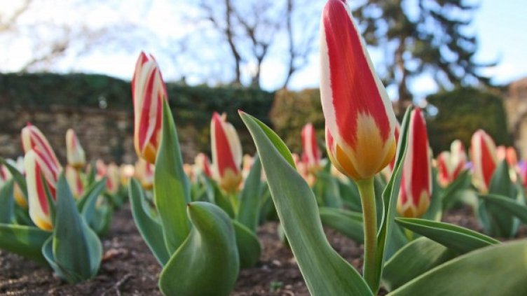 Снимка: Булфото, архив