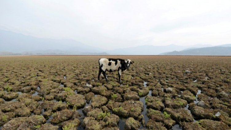 Снимки: Reuters