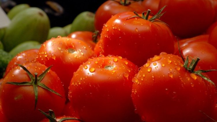 Снимка: архив, БулФото