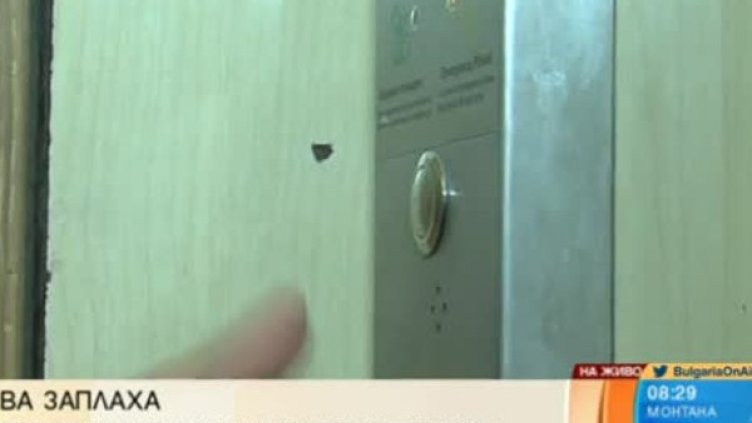 Снимка: Bulgaria ON AIR