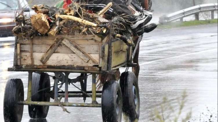 Снимка: Архив, Булфото