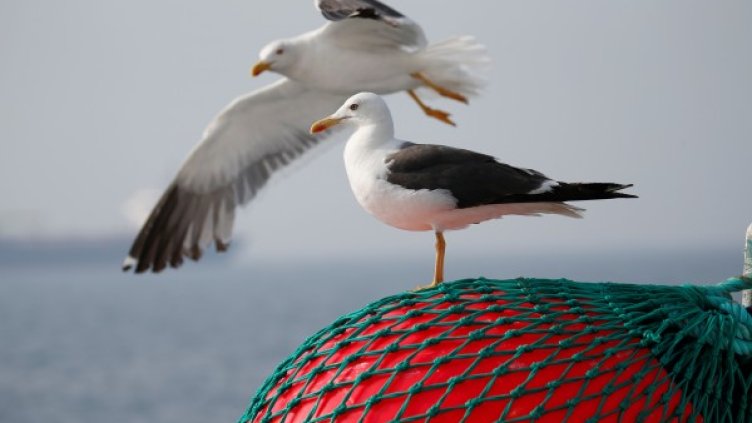 Снимка: Reuters