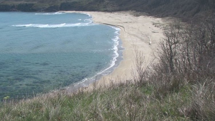 Снимка: btvnovinite.bg