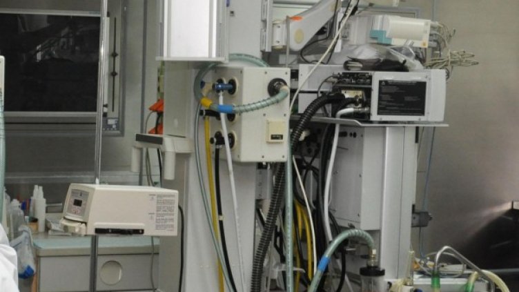 Снимка: архив, БулФото