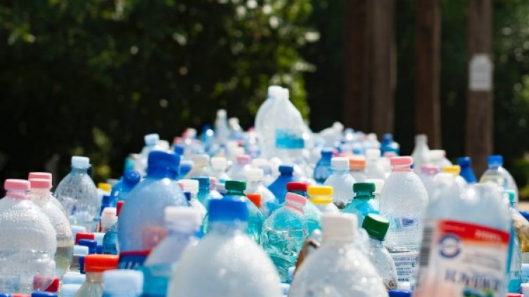 Снимка: pexels.com