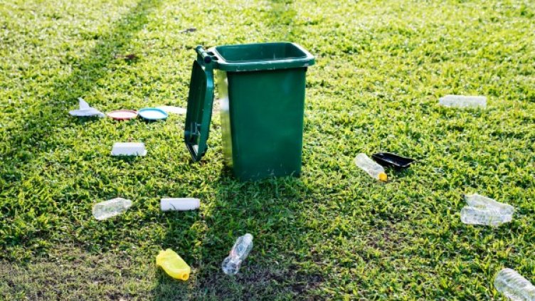 Снимка: pexels.com