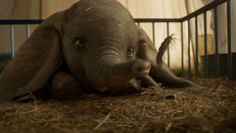 Снимка: Форум Филм