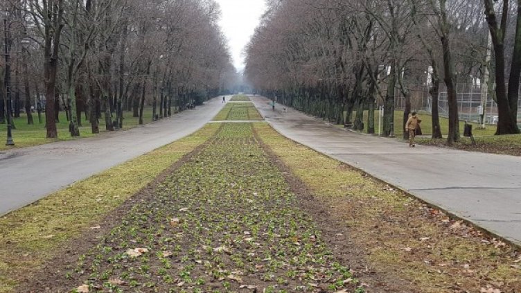 Снимка: архив, Булфото