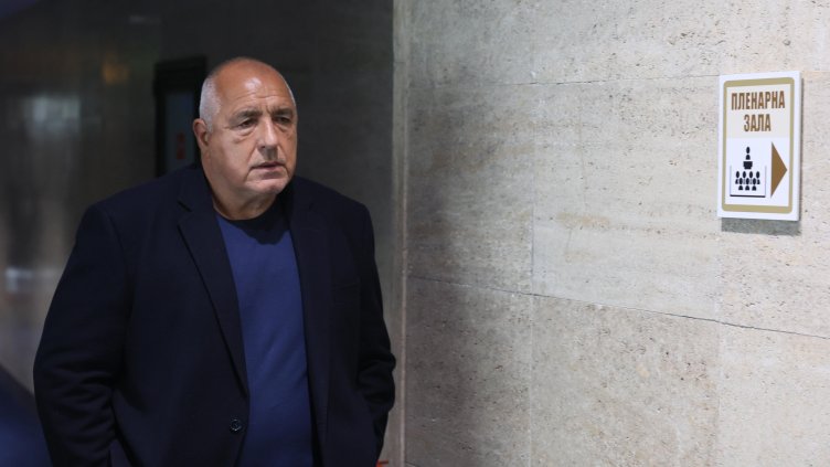 Снимка: БГНЕС