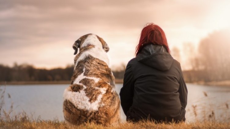 Снимка: Pixabay