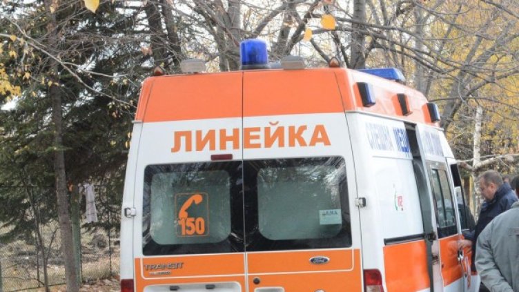 Снимка: архив "Булфото"