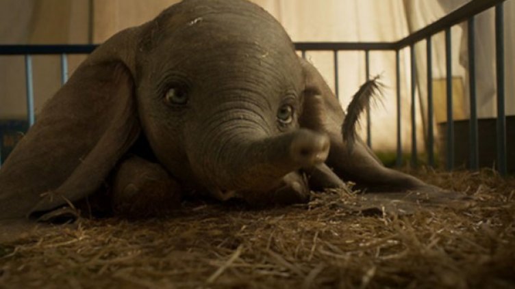 Снимка: Форум Филм