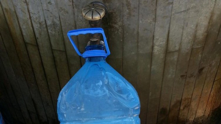 Снимка: архив "Булфото"