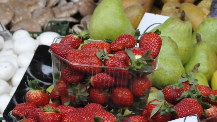 Снимка: архив, Булфото