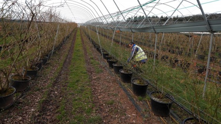 Снимка: Reuters