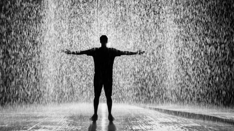 Снимка: pexels.com