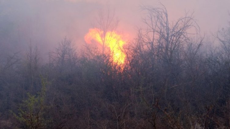 Снимка: Булфото