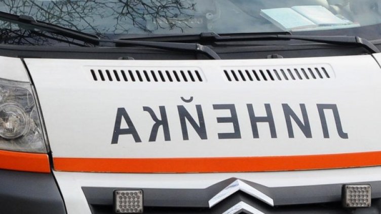 Снимка: Архив, Булфото