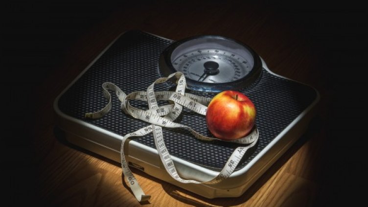 Снимка: pixaBay