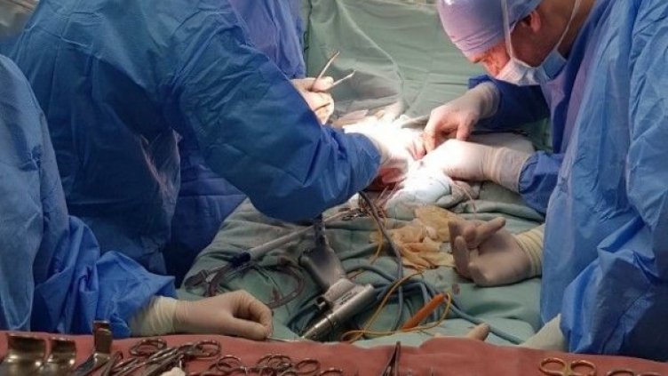 Снимка: Пирогов