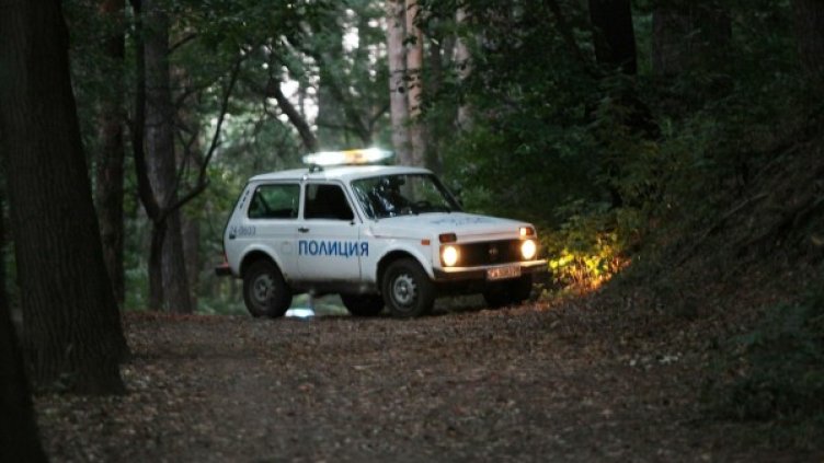 Снимка: архив "Булфото"