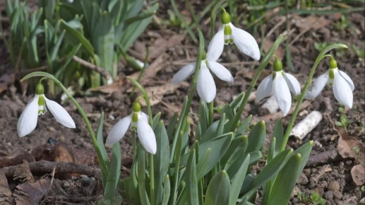 Снимка: Булфото, архив