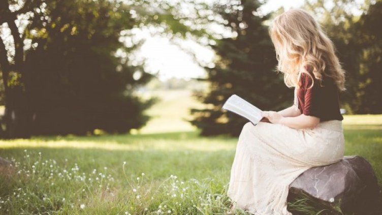 Снимка: Pixabay