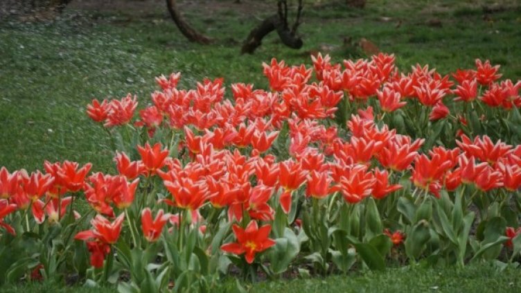 Снимка: Булфото