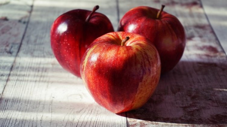 снимка: pexels