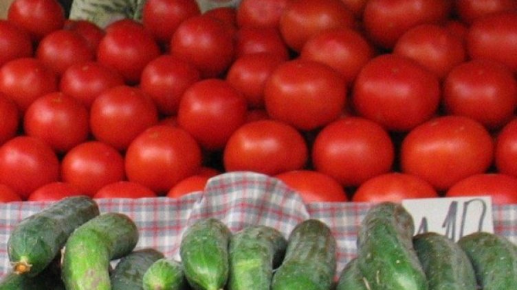 Снимка: Bulgaria ON AIR