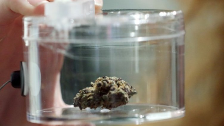 Снимка: Reuters