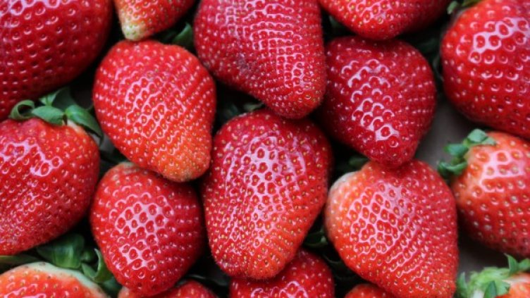 Снимка: Pixabay