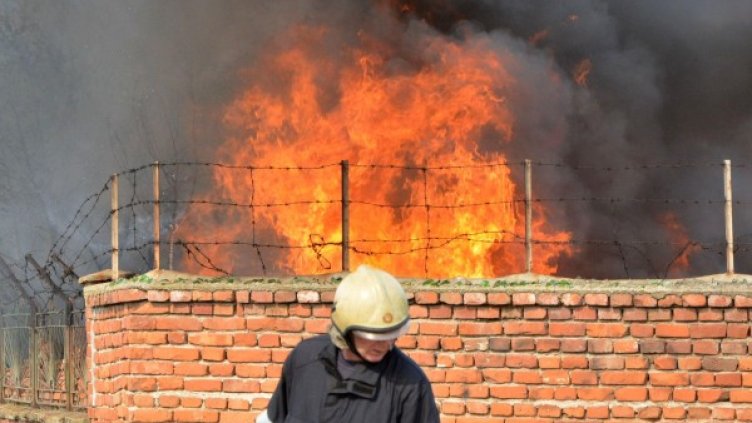 Снимка: архив "Булфото"