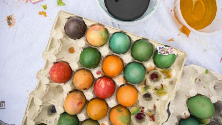 Снимка: Булфото