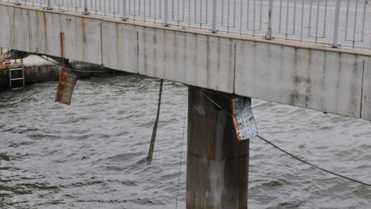 Снимка: BulFoto архив