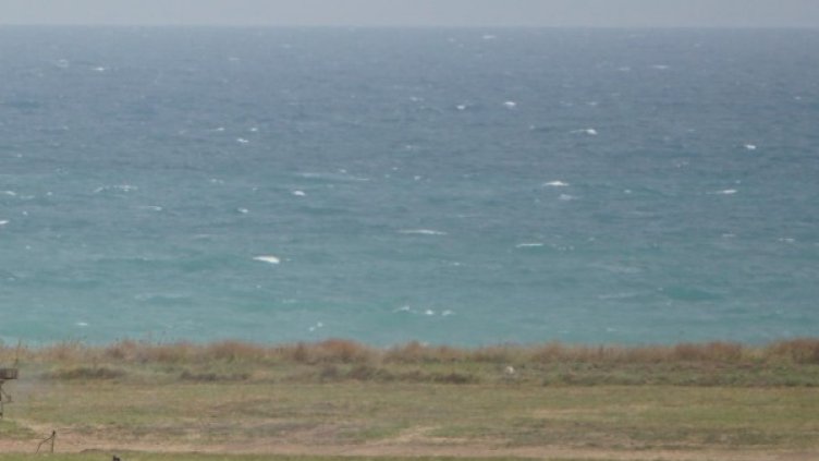 Снимка: BulFoto