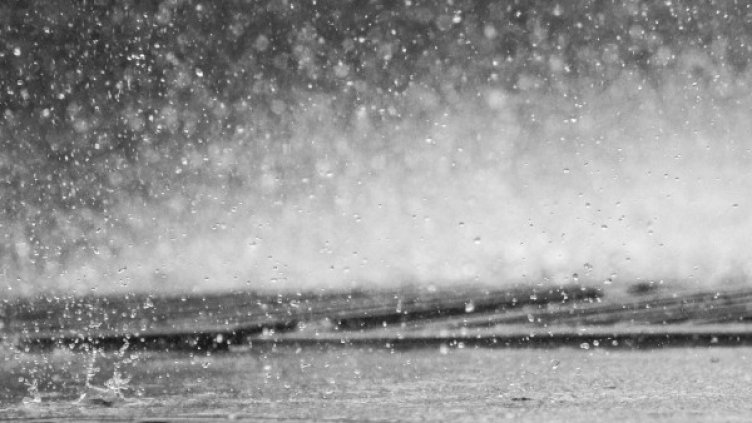 Снимка: Pixabay