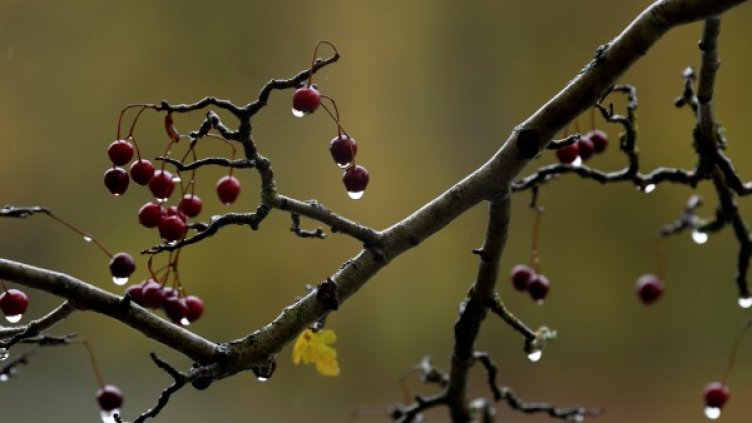 Снимка: Reuters, архив