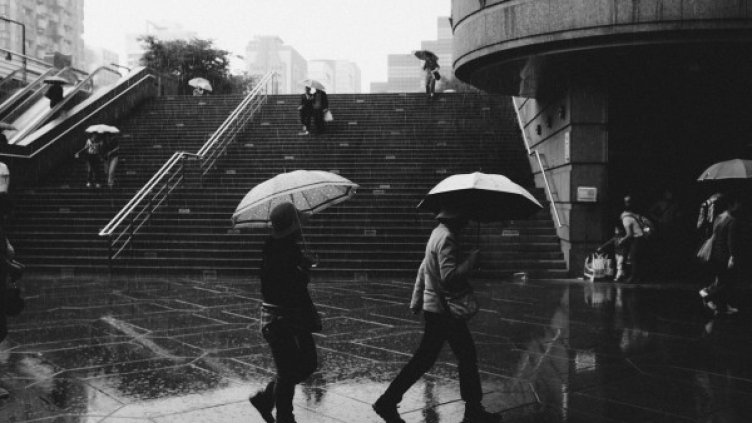 Снимка: Pixabay