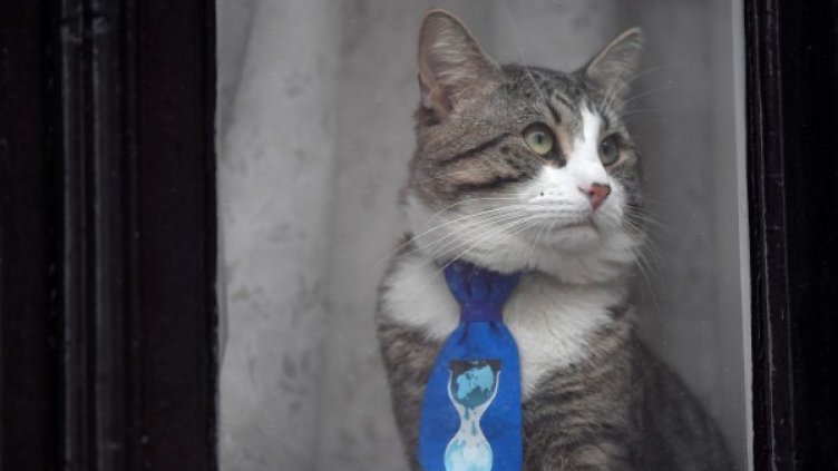 Снимка: Reuters