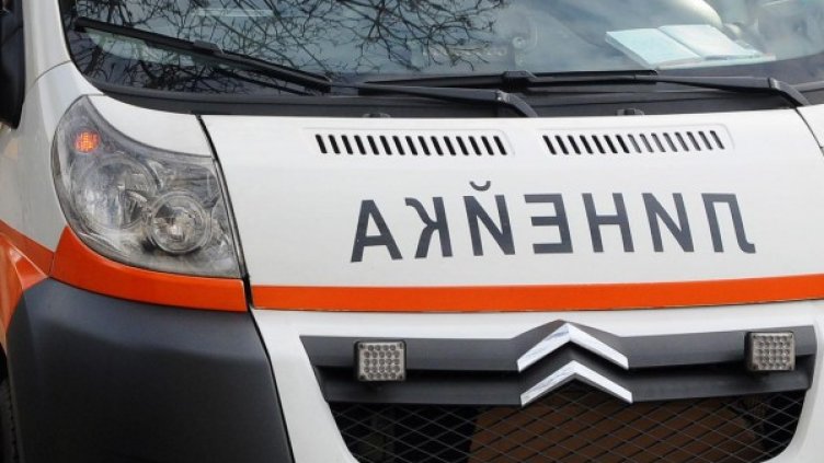 Снимка: Архив, Булфото