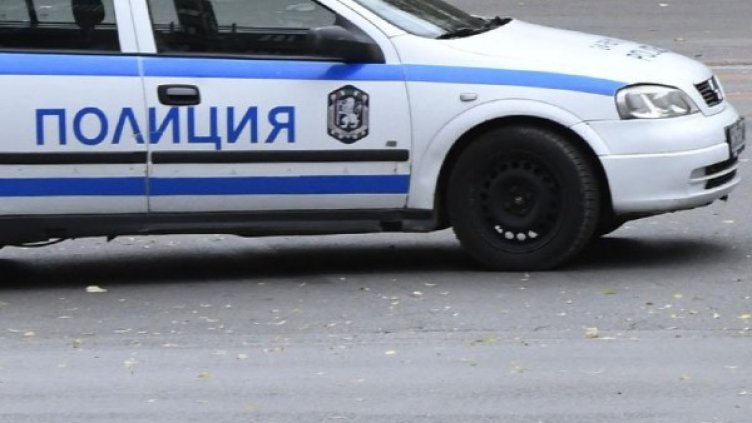 Снимка: Архив, Булфото