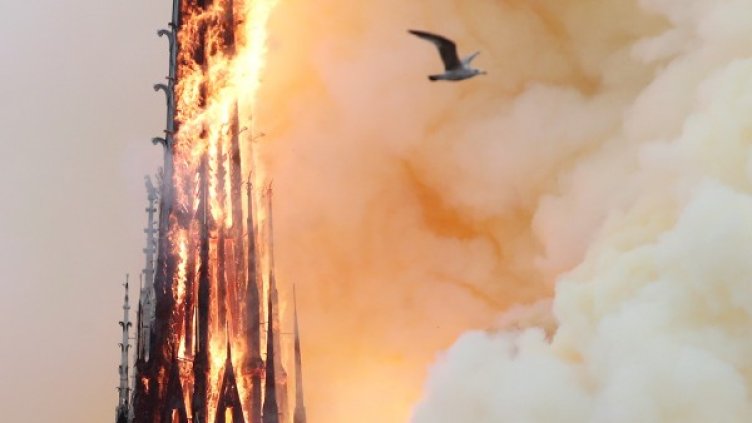 Снимка: Reuters