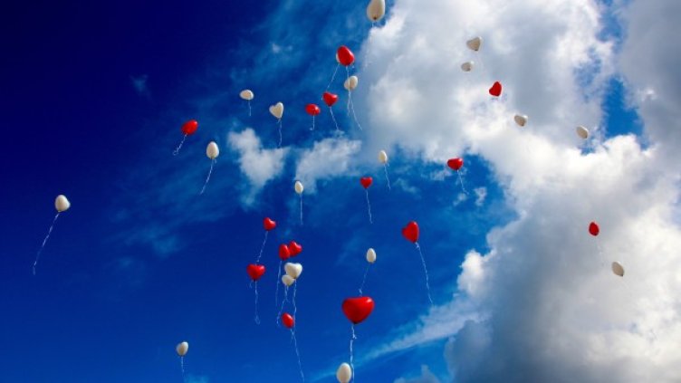 Снимка: Pexels