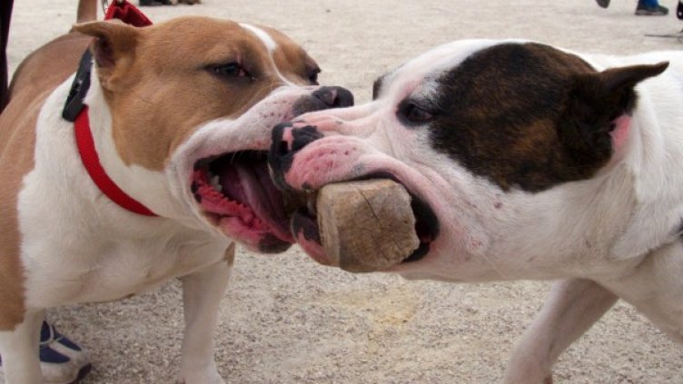 Снимка: архив, Ройтерс