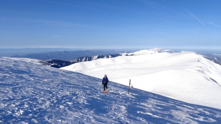 Снимка: Dnes.bg