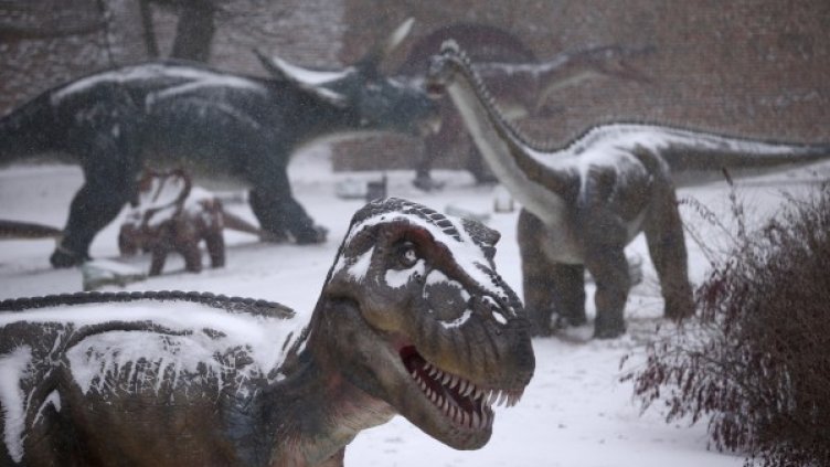 Снимка: Reuters