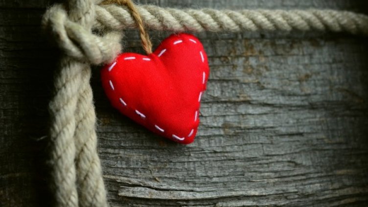 Снимка: Pixabay